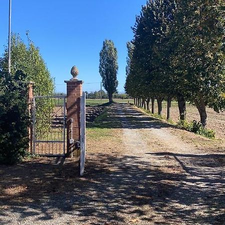Bilocale Immerso Nel Verde Oviglio Kültér fotó