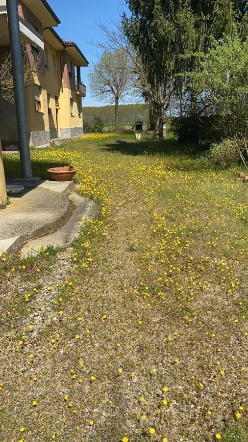 Bilocale Immerso Nel Verde Oviglio Kültér fotó