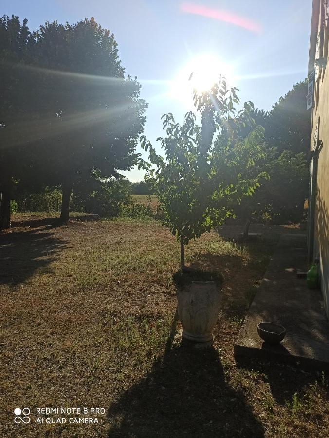 Bilocale Immerso Nel Verde Oviglio Kültér fotó